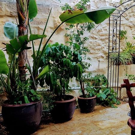 הגן הקסום, הצימר בבאר שבע酒店 外观 照片